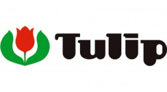 Tulip Japan